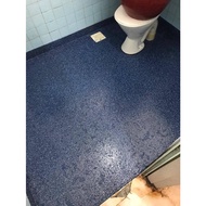 ( BLUE MIX ) FULL SET FLAKE Epoxy Colour Flake Coating ( FREE TOOLS + 1L PRIMER +1L CLEAR+ 1KG FLAKE ) Toilet Floor