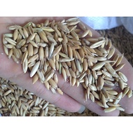 Whole oatmeal 1kg