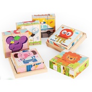 Educational 3D Learning Wooden Toy Puzzle - 1 Set, 9 Pcs, 6 Patterns - T013