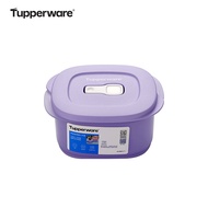 Tupperware | Compartment Bento Box 3 Set 460ml