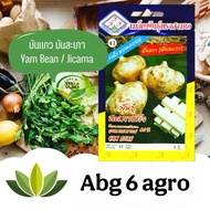 5g Biji Benih Ubi Sengkuang/ Jicama Seed / Yam Bean Seeds / Ubi Sengkuang Rangup / Cap AAA