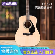 Yamaha Acoustic f310/f620/fg800/fg830 Acoustic Guitar Beginner Electric Case Guitar