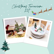 DIY Tsum Terrarium Kit | Airplant/Succulent/Fittonia Kit | Children's Day Special