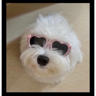 Dog Cat Glitter Rhinestone Glasses Pink Sunnies