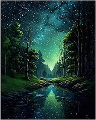 Paint by Numbers Adult Paint by Numbers Adult DIY The Stars Hand Painted Oil Painting Kit Creative S