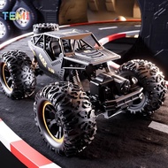 TEMI 1:16 Alloy Remote control Car 6WD/4WD Climbing Truck Crawler Toy Children's Gift