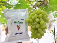 Pupuk Anggur Hi-Grow Nutrisi AB Mix Hidroponik Tanaman Anggur Pupuk anggur