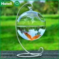 【HATELI】(12ซม.) ตู้ปลากระจกสำหรับแขวนแจกันปลาถังทรงกลมโปร่งใสแก้วปลาทำมือถังเครื่องประดับตกแต่งบ้าน