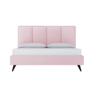 Camellia Bed - King | Queen | Super Single | Single - Divan Bed | - Free Delivery