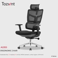 TOZIENT A2203 Ergonomic Chair Office Chair, Breathable Mesh Desk Chair, Lumbar Support Computer Chair with Flip-up Arms,