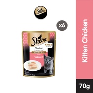 SHEBA Kitten Food - Makanan Anak Kucing dengan Rasa Ayam (6-Pack) 70g.