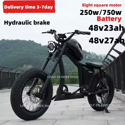 China Warehouse New Mode 750w Bafang Motor electric bike 20 inch 48V 27AH Longer battery life Snow C