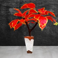 bunga hiasan artificial pohon gerigi sudut ruang tamu jumbo tinggi rimbun Sudah Sama potnya