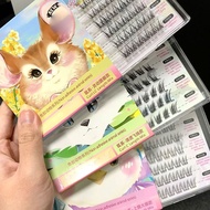 Glue-Free Eyelashes Paradise CuisineGel-free eyelash dishes Glue-free Bird's False Eyelash Beauty202