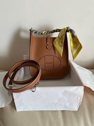 Hermes mini evelyne