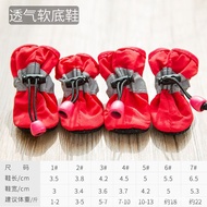 Pet Shoes C11.13