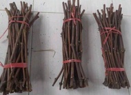 PAKET ENTRES ANGGUR IMPORT 8 VARIAN DAN PAKET CUTTING ROOSTOK SO4 (RS IMPORT) COCOK UTK SEKALA KEBUN