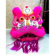 FOSHAN Lion Dance Set Chinese Traditional Costume Performance Training