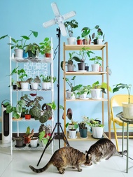 High-power timing plant fill light lamp | Floor-mounted full-spectrum bougainvillea growth light led