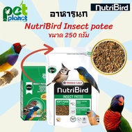 [250g.] อาหารนก Versele Laga Orlux Insect patee (Bird) อาหารสำหรับนกกินผลไม้และแมลงสูตรแมลง 25% อาหา