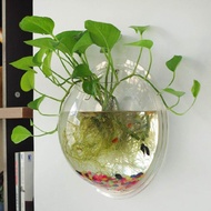 【New Arrival】Wall Hanging Hydroponic Terrarium Potted Transparent Goldfish Bowl Aquarium Acrylic Durable for Home Furnishing Decoration