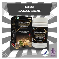 (BPOM) Ekstrak Pasak-Bumi Ash-Shihhah Pasak 50 Kapsul