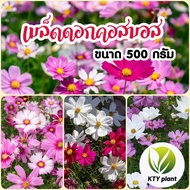 คอสมอส​ เมล็ดดอกคอสมอส ขนาด500กรัม ดอกไม้