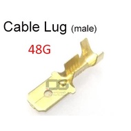Cable Lug MALE 48G FEMALE 63G Gold plug Terminal Wire Clip SPEAKER CLIP 4.8mm 6.3mm GOLD PLUS SPEAKE