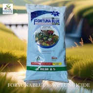 FORTUNA BLUE FUNGICIDE 1 KILO