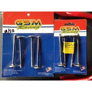 GSM racing valve y15..lc135..fz150..19/22**22/25