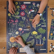 （需預訂）美國Cavallini復古風動物植物圖譜砌圖拼圖1000pcs Vintage Jigsaw Puzzle Animals Botany Atlas Collection