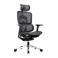 Bwell เก้าอี้เพื่อสุขภาพ รุ่น Agnes สีดำ