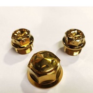 Center nut at Innertube nut raider 150 Gold
