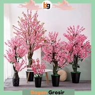 Bg// SAKURA Tree 150cm Fake High Imitation ARTIFICIAL IMPORT/CAFE Home Decoration Tree/Tree/Decoration Decoration Tree/Ornamental Tree/Decoration Tree/PBP80