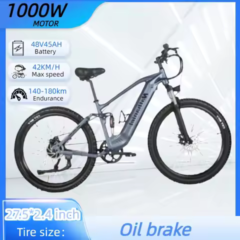 SYR03 Adult Electric Bicycle 1000W Motor 48V 45Ah Removable Lithium Battery e bike 42km/h City Commu