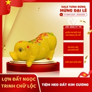 [Diamond Savings Piggy Bank] Small size long fortune savings piggy bank - Savings piggy bank