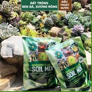 Soil Mix 6kg bag - Substrate - high quality, super cheap succulent cactus Soil.