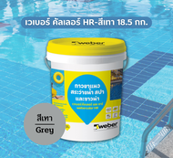 Weber color HR เวเบอร์ คัลเลอร์ เอช อาร์ | กาวยาแนวสระว่ายน้ำ สปา และซาวน่า | ขนาด 18.5 กก. | สีเทา