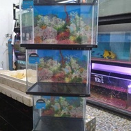 Aquarium bending Bahari