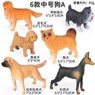 Children's Solid Animal Model Toy Realistic Golden Retriever Teddy Dog Schnauzer Labrador Doberman