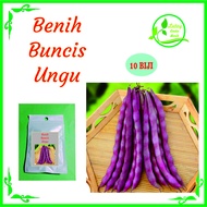 BENIH BUNCIS UNGU ISI 10 BIJI