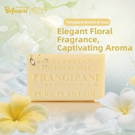 Plant-Based Soap for Bathing