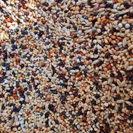 Mixed food miscellaneous grains small pearl birds bird five coloured millet parrot feed millet for b
