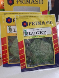 benih brokoli bejo lucky