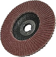 Yanase SPA6 Spark Disc A, Diameter 3.9 x 0.6 inches (100 x 15 mm) Hole A#100