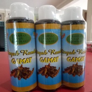 Minyak Rambut Gamat Warisan Saju 60ml