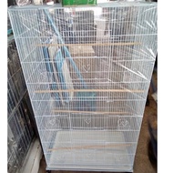 ❗️❗️ SALE ❗️❗️ กรงชูก้า กรงนก ติดล้อ 77*47*140cm !! Cages &amp; Crates บริการเก็บเงินปลายทาง โปรโมชั่นสุดคุ้ม โค้งสุดท้าย ราคาถูก คุณภาพดี โปรดอ่านรายละเอียดก่อนสั่ง