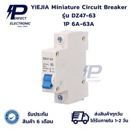 DZ47-63 YIEJIA Miniature Circuit Breaker 1P 6A-63A