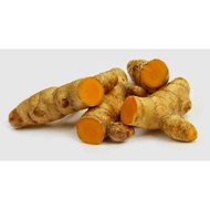 1 KG Fresh Temulawak