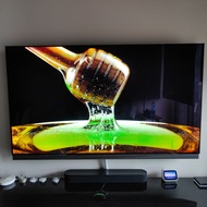 LG 樂金 65吋 OLED 電視機 OLED65E7P